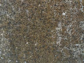 Grunge wall texture shoot on close up for abstrack backround or 3D rendering
