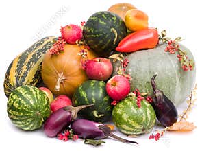 Autumn harvest