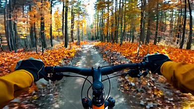 A person riding a bike down a dirt road in the woods