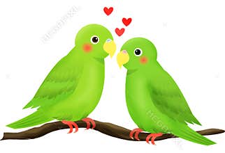 Love bird