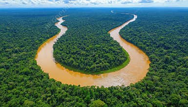 Aerial view of the winding river through the lush chaos of the Amazon Rainforest