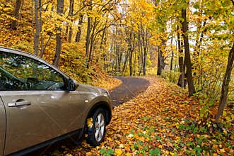 Autumn driving