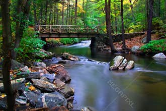 Dreamy River