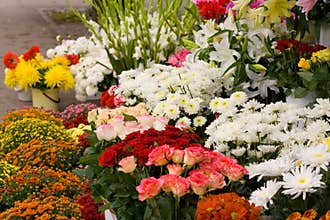 Flower market