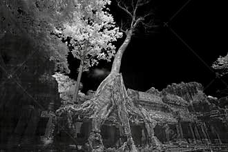 Ruins of Preak Khan in Cambodia in black and white infrared