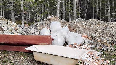 Illegal Dumping, Forest Pollution Crisis