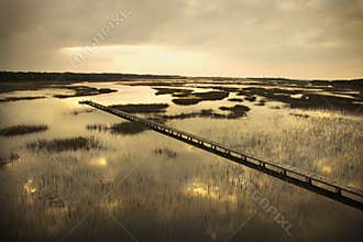 Walkway over marsh.