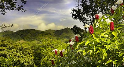 Costa rica