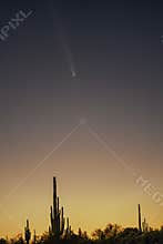 A comet soars through the night sky