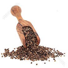 Coriander Seed