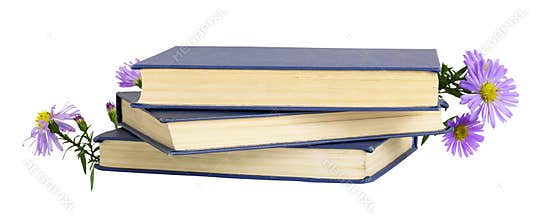 Three old books with blue cover and autumn purple aster flowers isolated on white