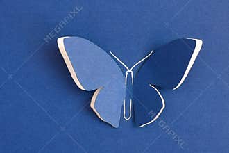 Butterfly decorative
