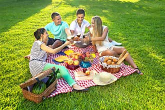 Friends having a picnic