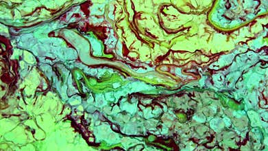 Timeless Abstract Color Paint Pattern Moving Creature Chaos Background