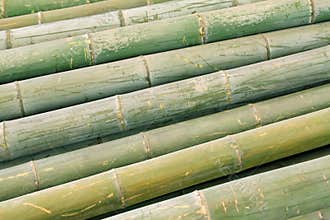 Dry bamboo stacked together