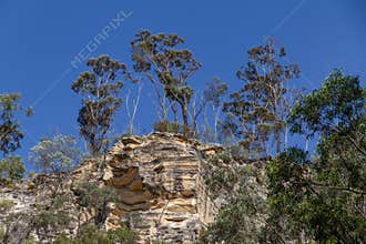 Gum tree eucalypts growing on the top of a sandstone remnant after erosion