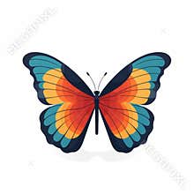 Vibrant Blue And Orange Butterfly Illustration On White Background
