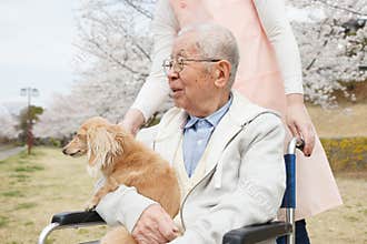 Asian senior man sitting on a wheelchair with caregiver and dog