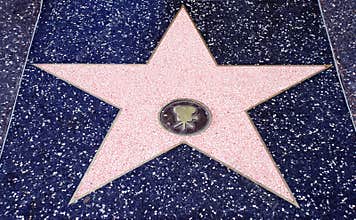Hollywood movie star