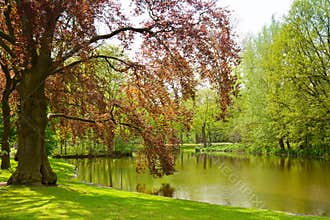 Vondel park, Amsterdam