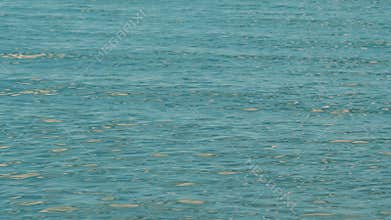 Dynamic Liquid Background. Cinematic Sea Wave In Nature Location.