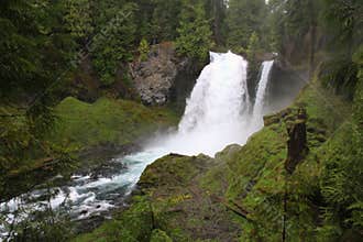 Green Forest Spring Flow McKenzie River Sahalie Falls