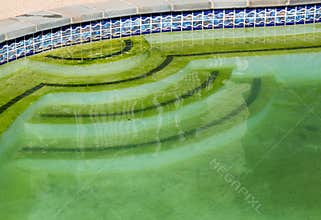 Filthy backyard swimming pool and patio