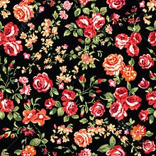 Classic roses on black