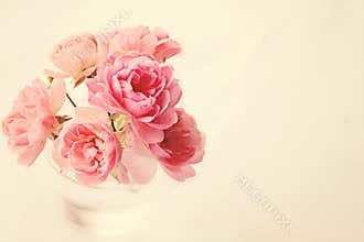 Roses In Vase on Pink
