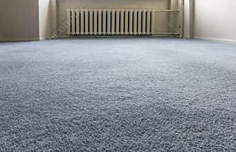 Blue Carpet Floor