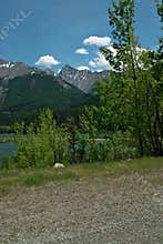 Crowsnest Pass, BC Canada.