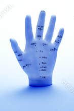 Acupuncture Hand Meridians Points