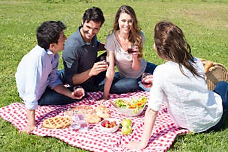 Picnic With Friends at Park