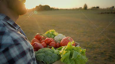 Close up Caucasian bearded male man guy farmer carrying holding box fresh organic vegetables walk outdoors countryside