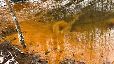 Beavers have built many small lakes in the mountains