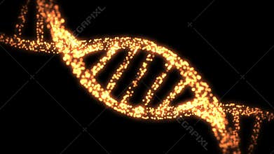 Appearing and dissapearing DNA helix