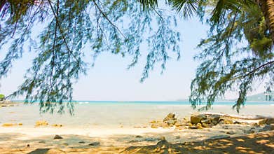Deserted coast of the tropical sea with trees and rocks