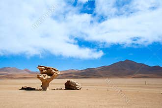 The Árbol de Piedra (Stone Tree) is a famous, tree-shaped volcanic rock formation in Bolivia