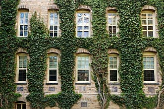 Princeton University