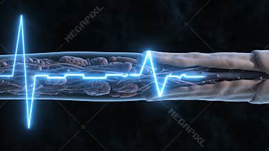 Medical Animation of Nerve Impulse Transmission Showing Axon and Myelin Sheath in Dark Background with Blue Neural