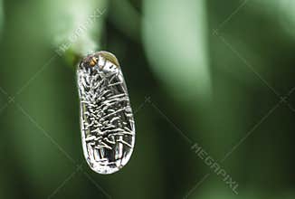Frozen water droplet with green background, abstract ice and climate concept