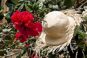 Special Display Of Straw Hats