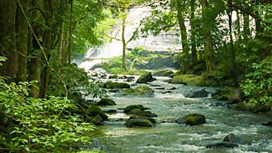 Mountain stream near a waterfall in the rainforest