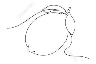 Fresh citrus fruit single line art minimal style illustration