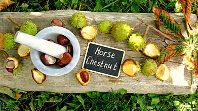 Horse chestnut tincture and supplements. Selective focus.