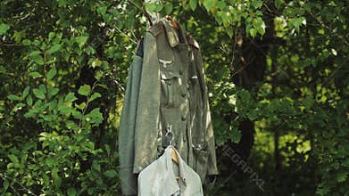 German Wehrmacht private soldier uniform hangs on birch tree branch. World War II army Military clothing. Historical artifact
