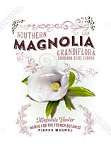NOLA Collection Louisiana Magnolia Background