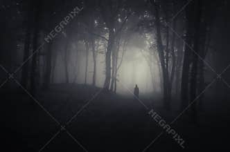 Ghost in a dark spooky forest on Halloween