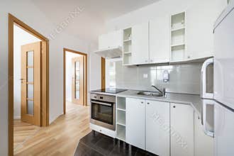 Small, white modern kitchen interior design