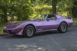 Corvette stingray